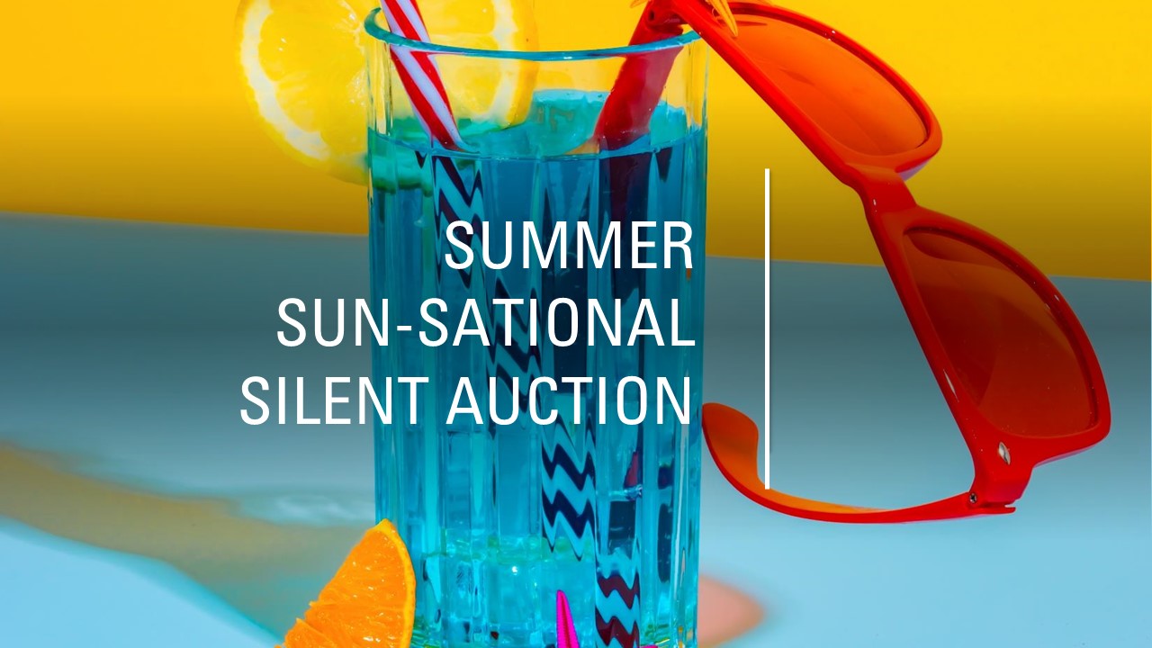 summer sun-sational auction